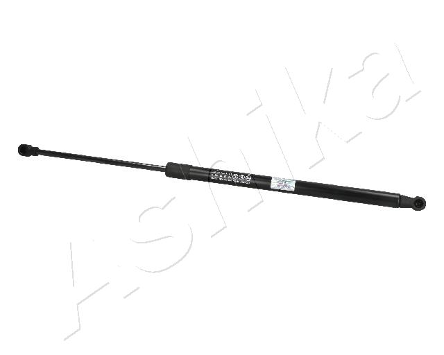 ZSA09210_1