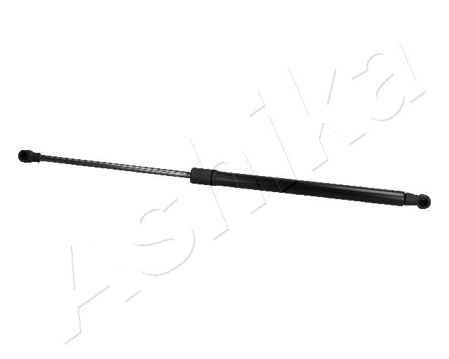 ZSA10020_1