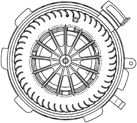 291024446