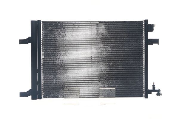 402575004