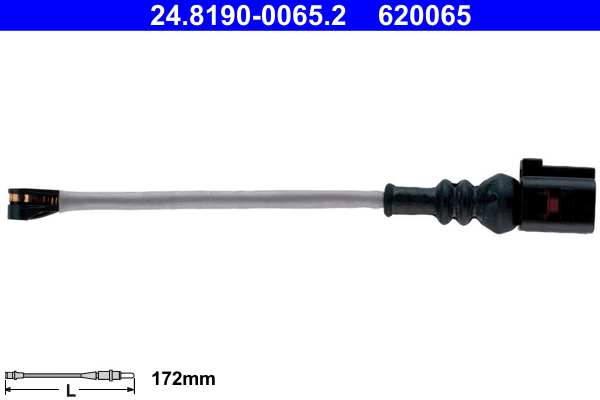 620065