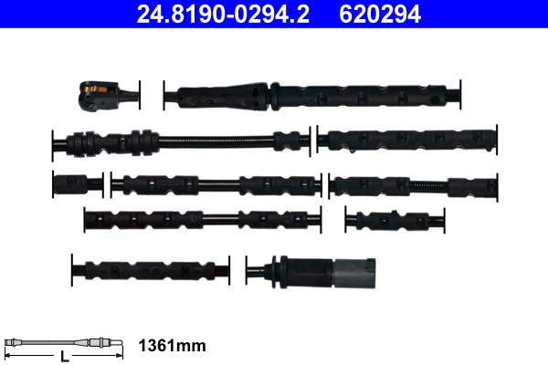 620294