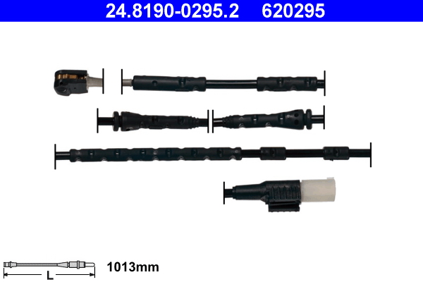 620295