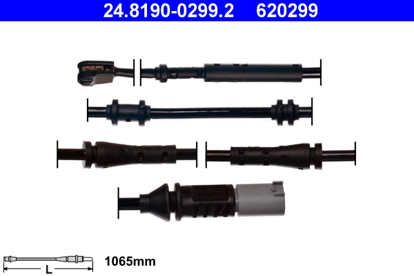 620299