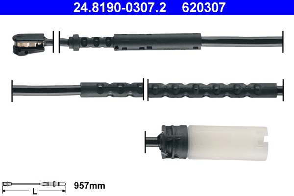 620307
