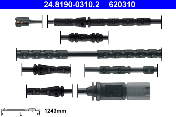 620310
