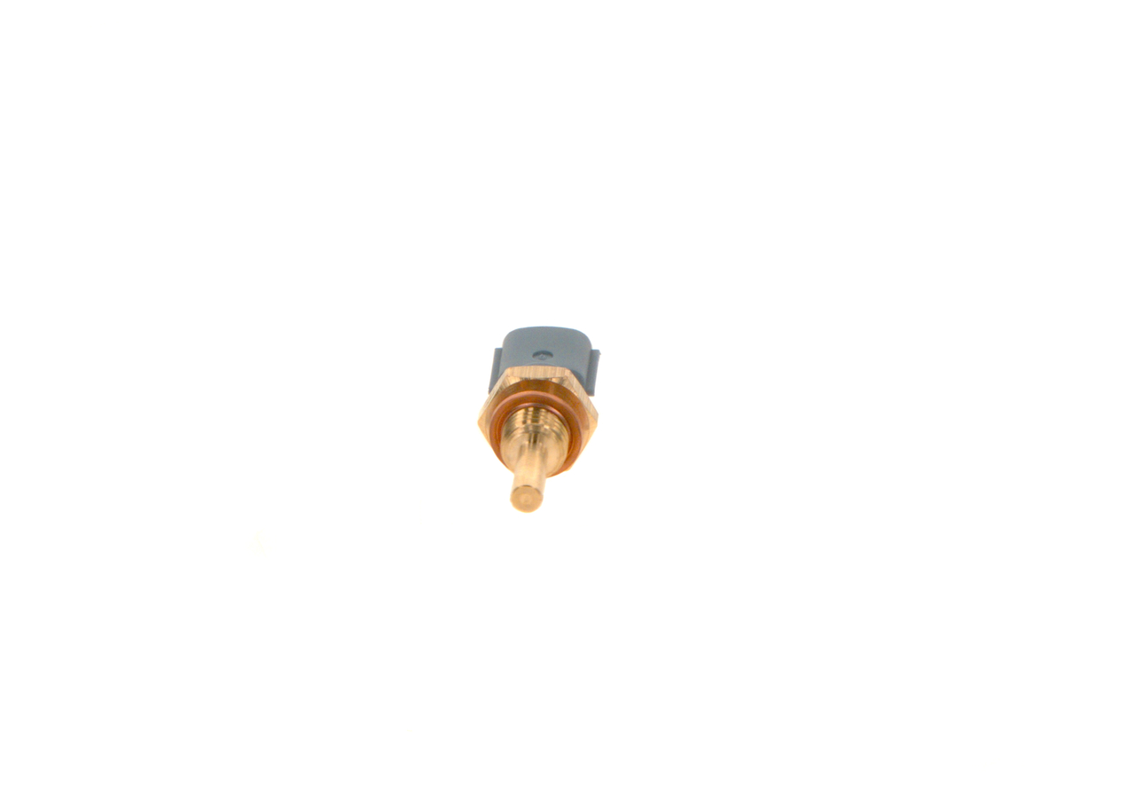 0280130129PH13WHCO0000