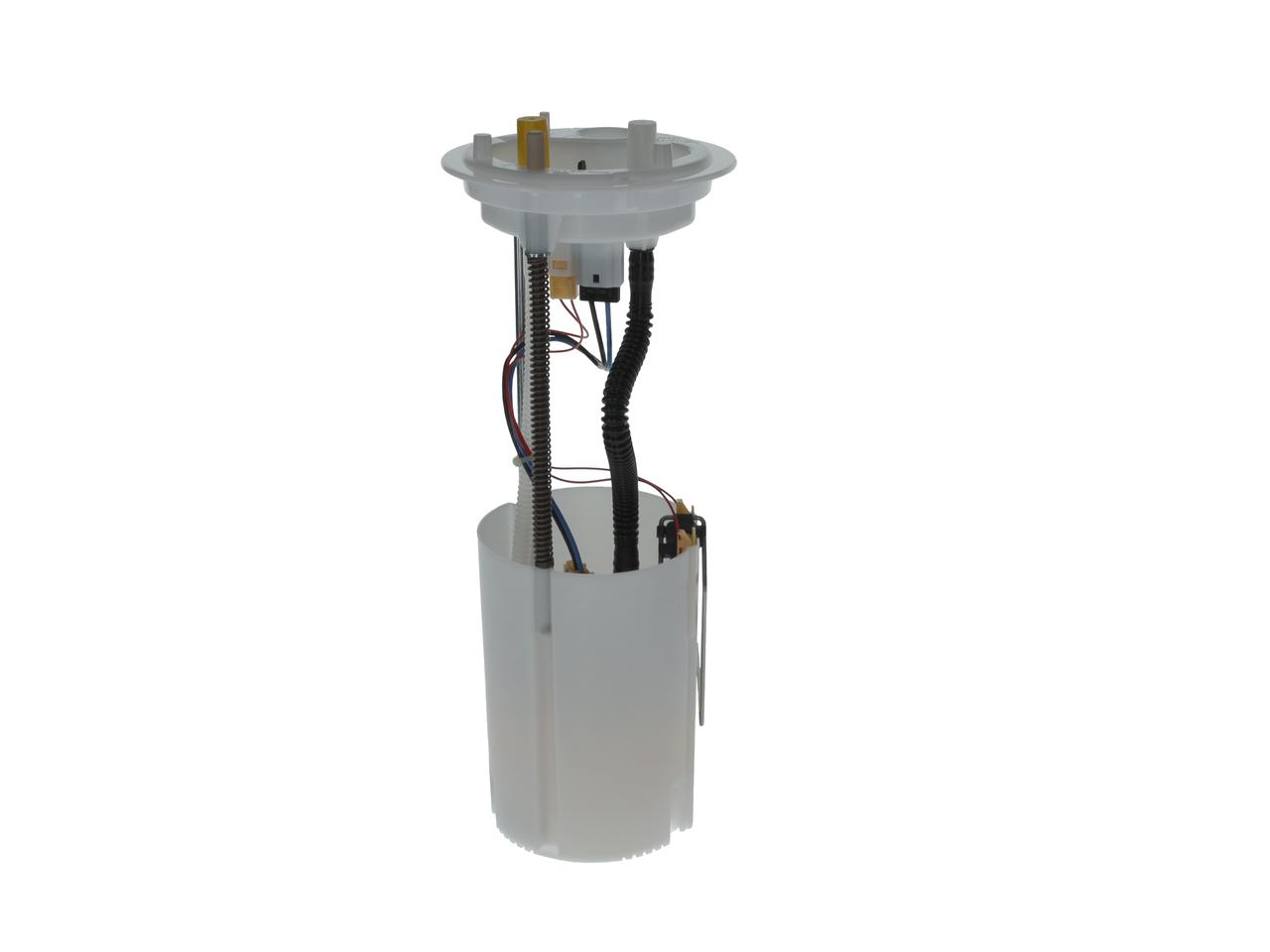 058020343DPH19WHCO0000