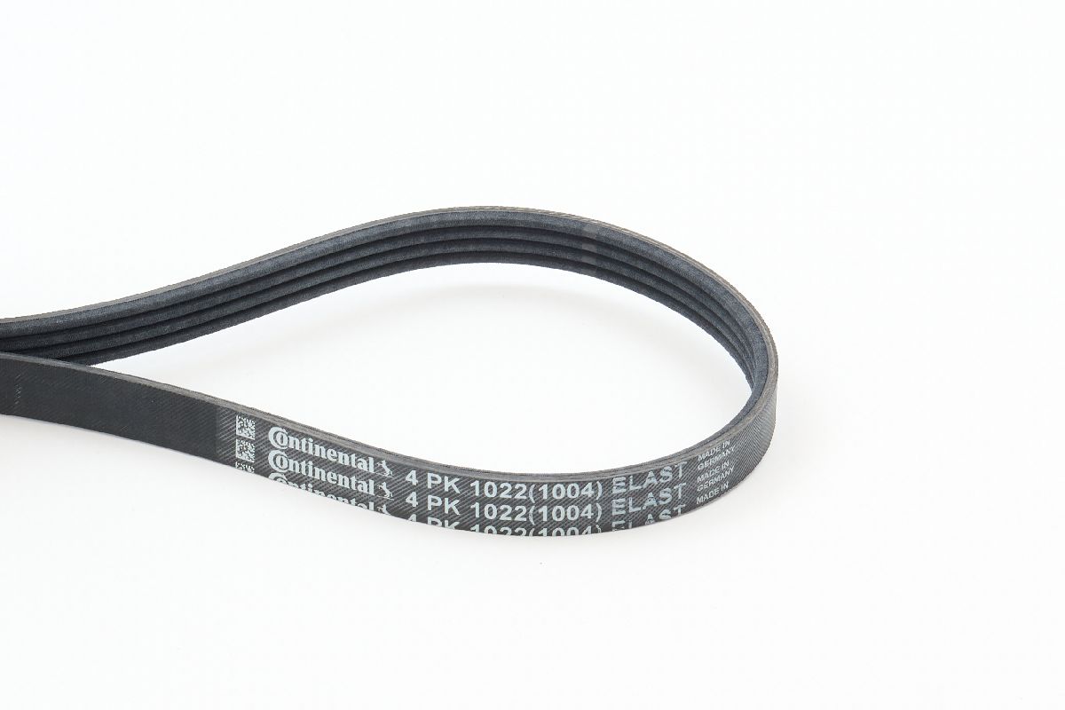 BELTPIC_4PK1022 ELAST