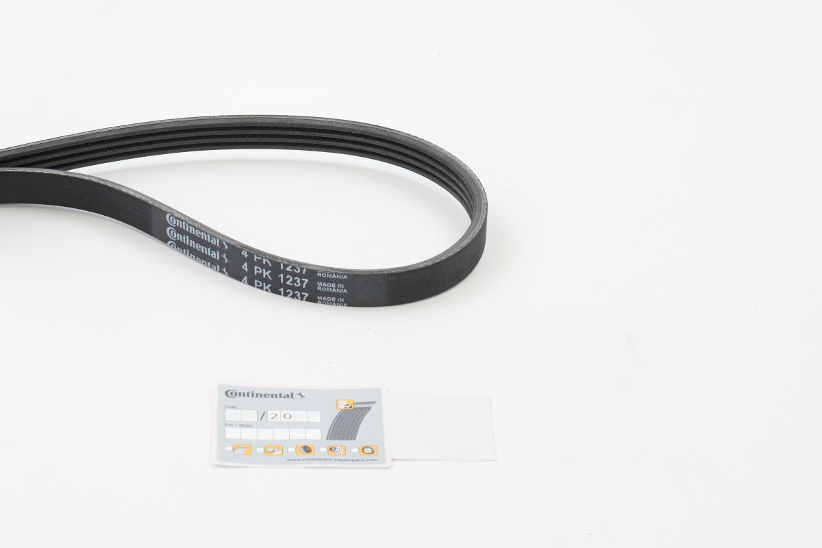 BELTPIC_4PK1237