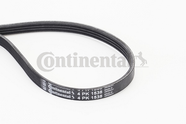 BELTPIC_4PK1538