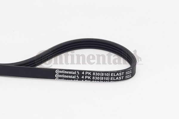 BELTPIC_4PK830 ELAST