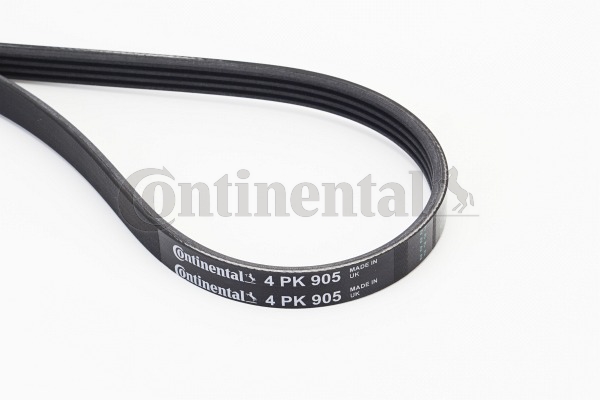 BELTPIC_4PK905