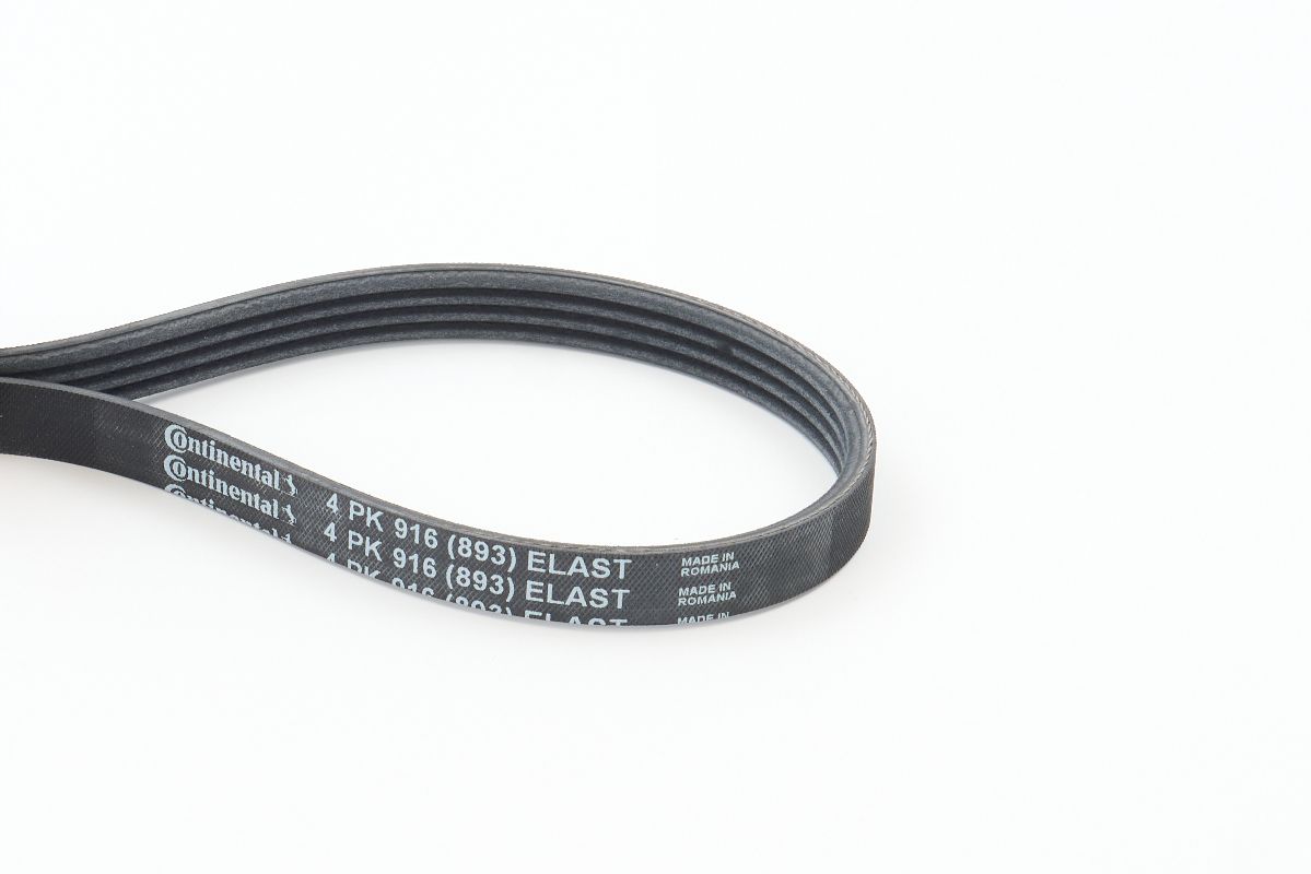 BELTPIC_4PK916 ELAST