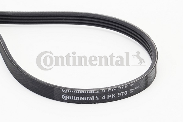 BELTPIC_4PK970