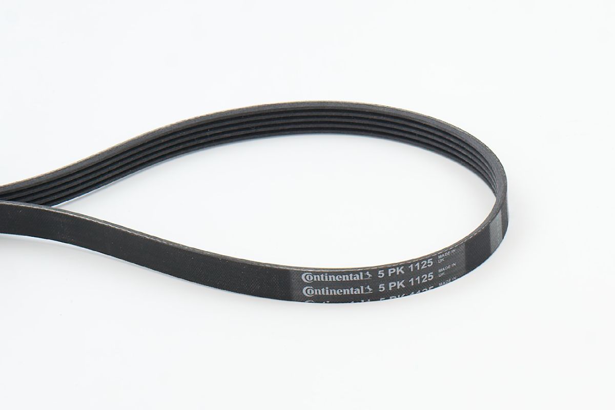 BELTPIC_5PK1125