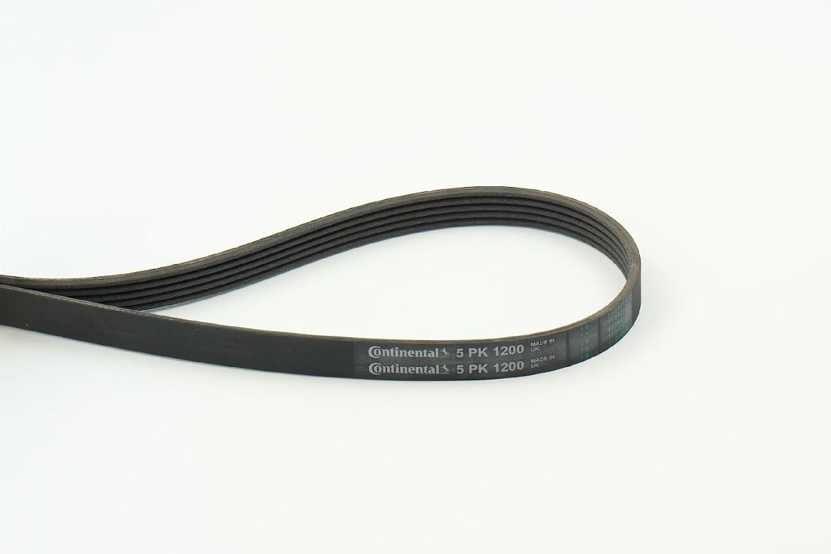 BELTPIC_5PK1200