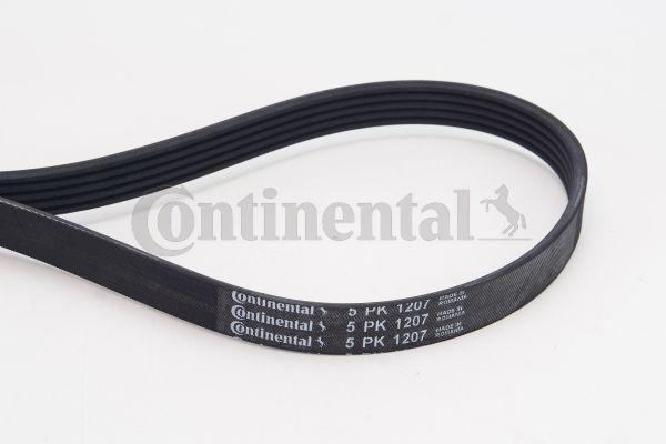 BELTPIC_5PK1207