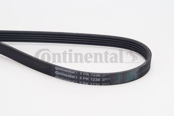 BELTPIC_5PK1230