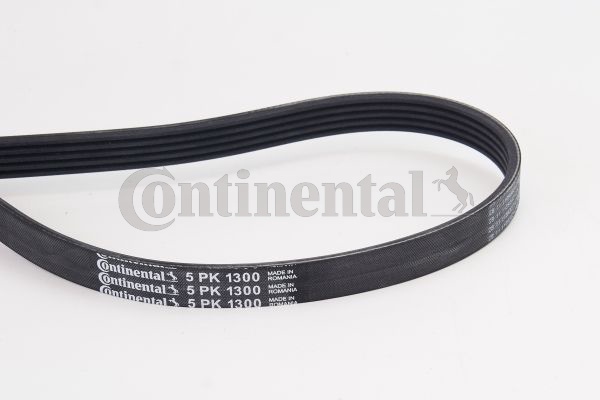 BELTPIC_5PK1300