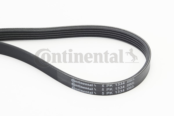 BELTPIC_5PK1334