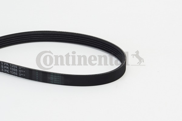 BELTPIC_5PK1355