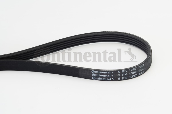 BELTPIC_5PK1397
