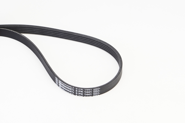 BELTPIC_5PK1441