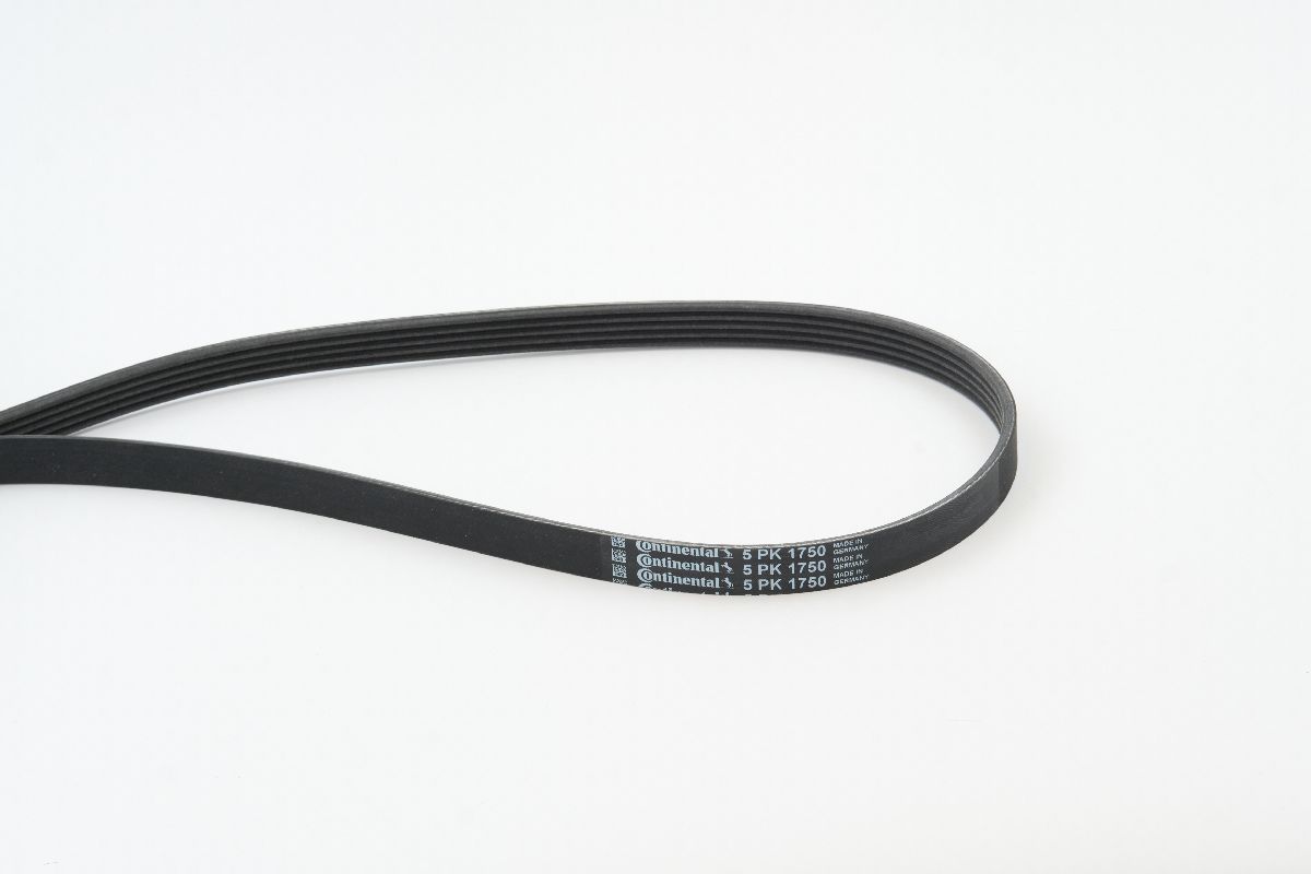 BELTPIC_5PK1750