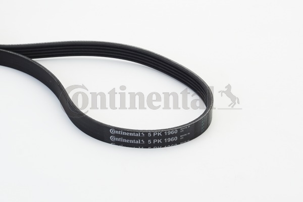 BELTPIC_5PK1960
