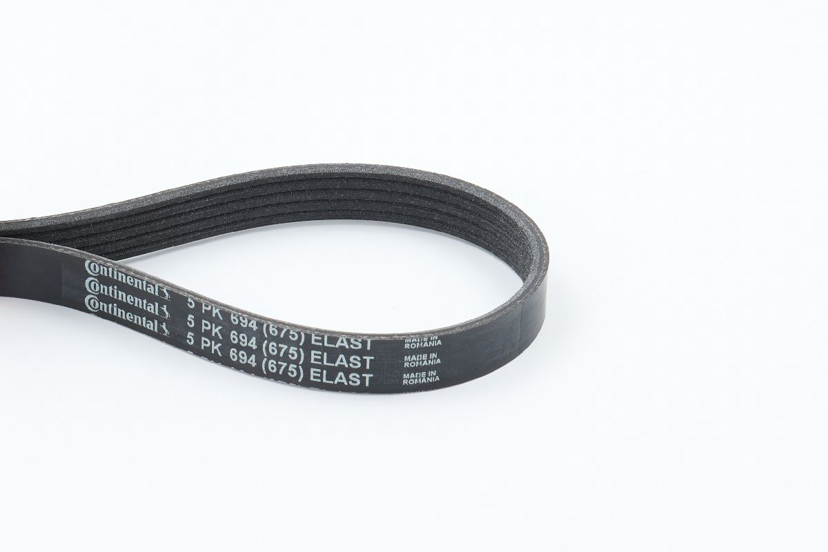 BELTPIC_5PK694 ELAST