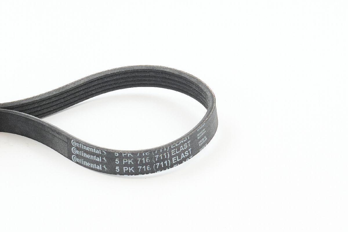 BELTPIC_5PK716 ELAST