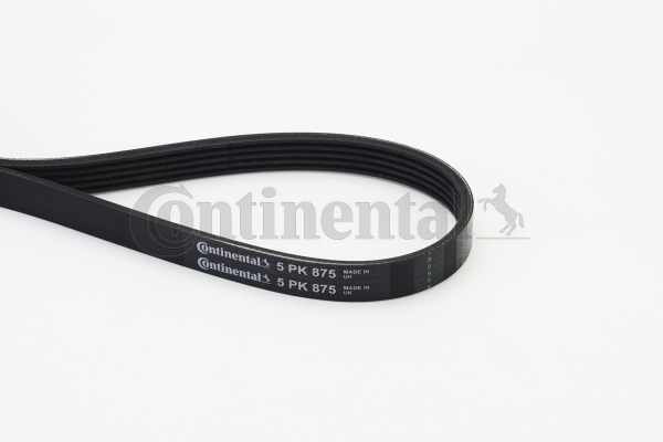 BELTPIC_5PK875