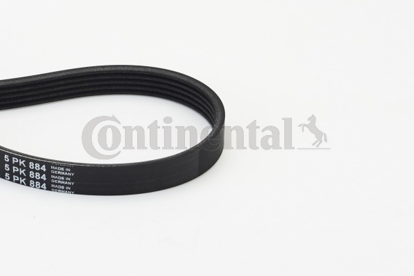 BELTPIC_5PK884