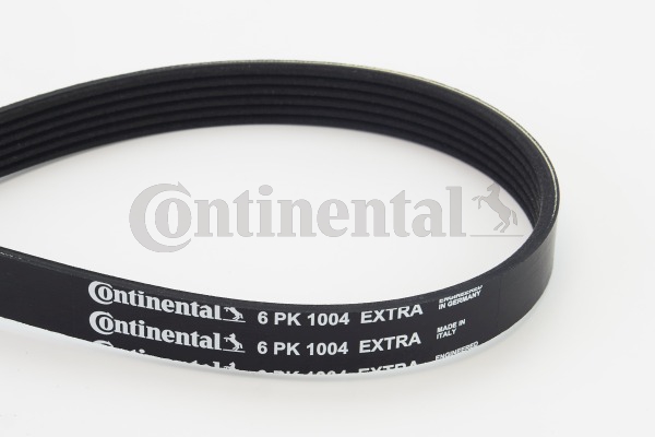 BELTPIC_6PK1004 EXTRA