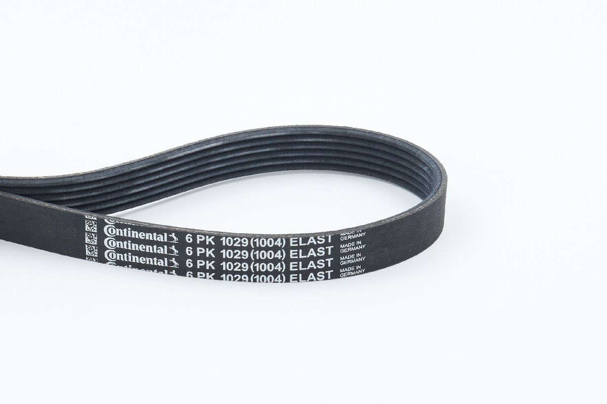 BELTPIC_6PK1029 ELAST