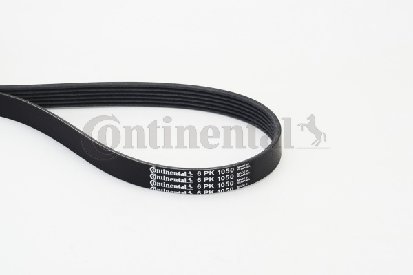 BELTPIC_6PK1050