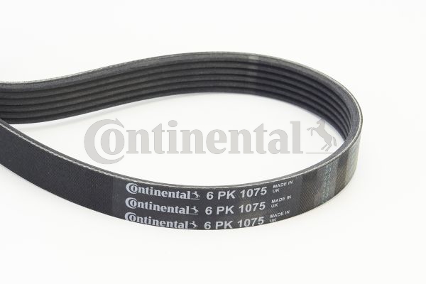BELTPIC_6PK1075