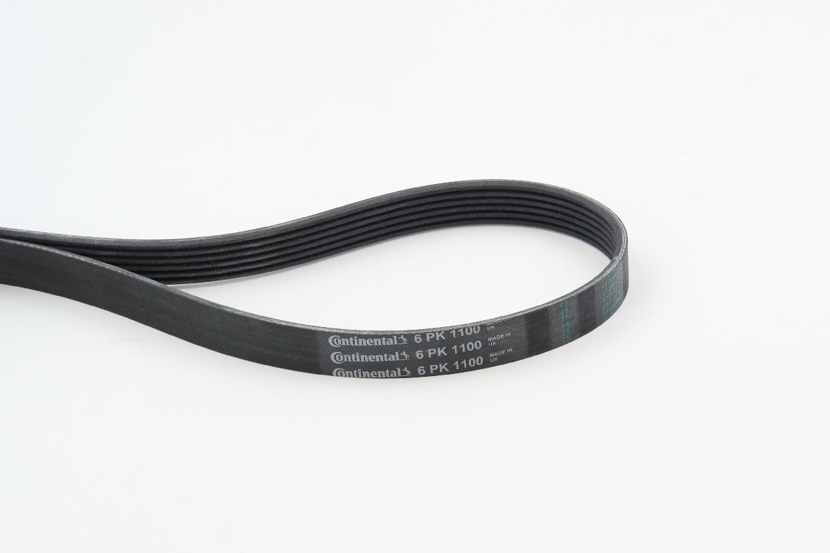 BELTPIC_6PK1100