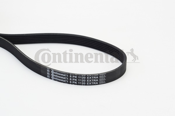 BELTPIC_6PK1120 EXTRA
