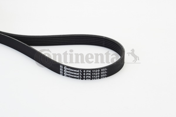 BELTPIC_6PK1120