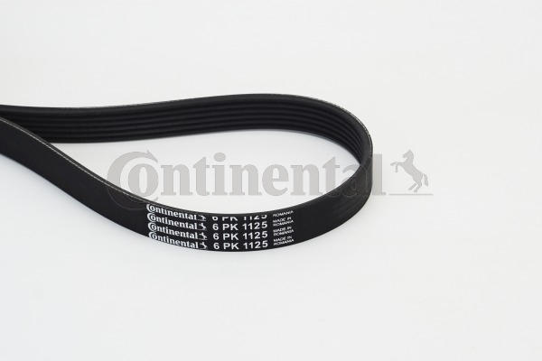 BELTPIC_6PK1125
