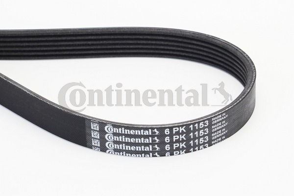 BELTPIC_6PK1153