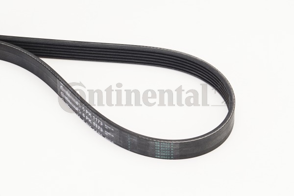 BELTPIC_6PK1173