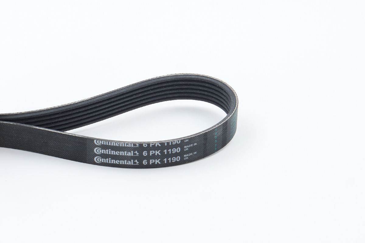 BELTPIC_6PK1190