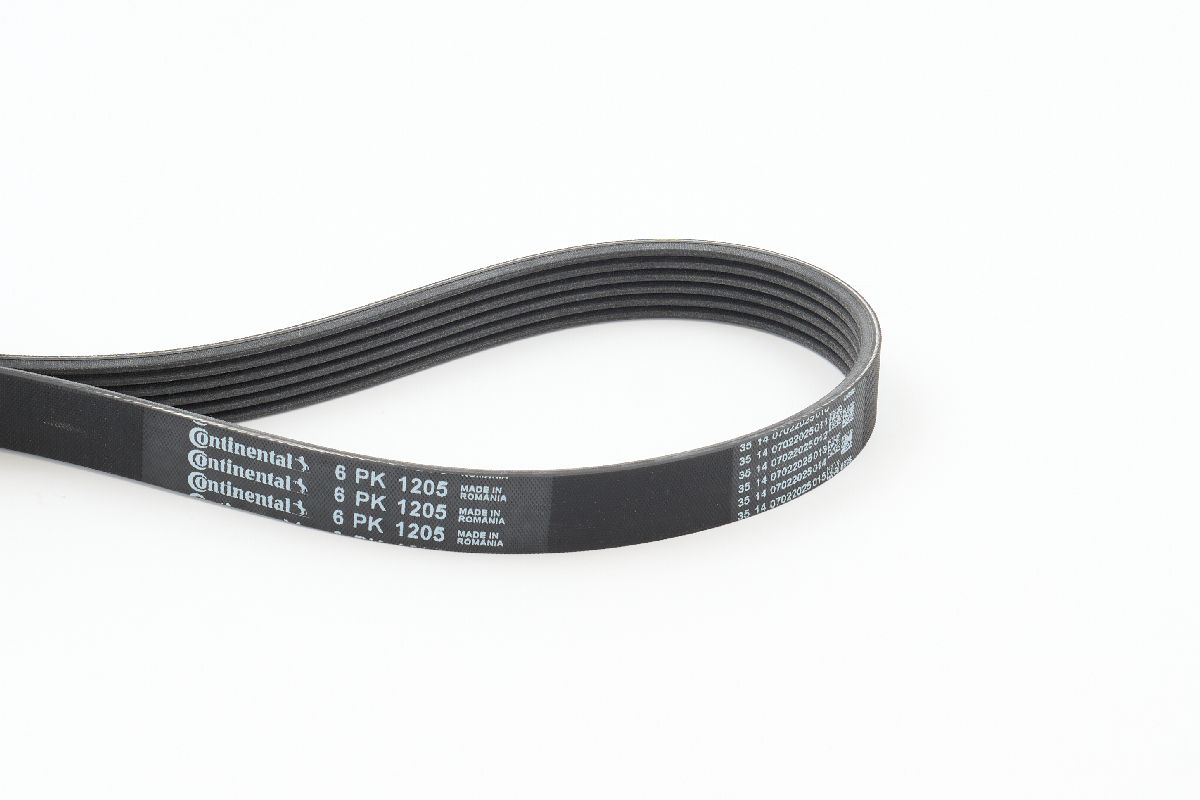 BELTPIC_6PK1205