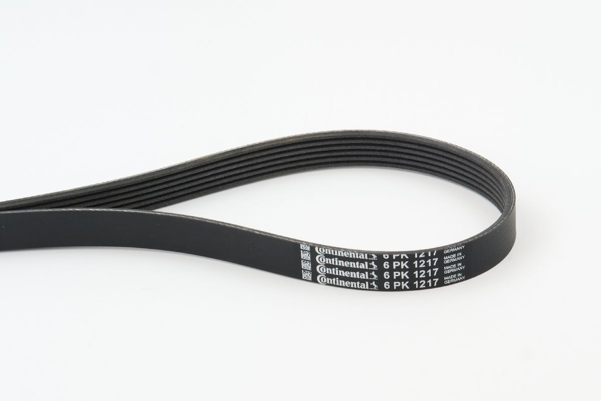 BELTPIC_6PK1217