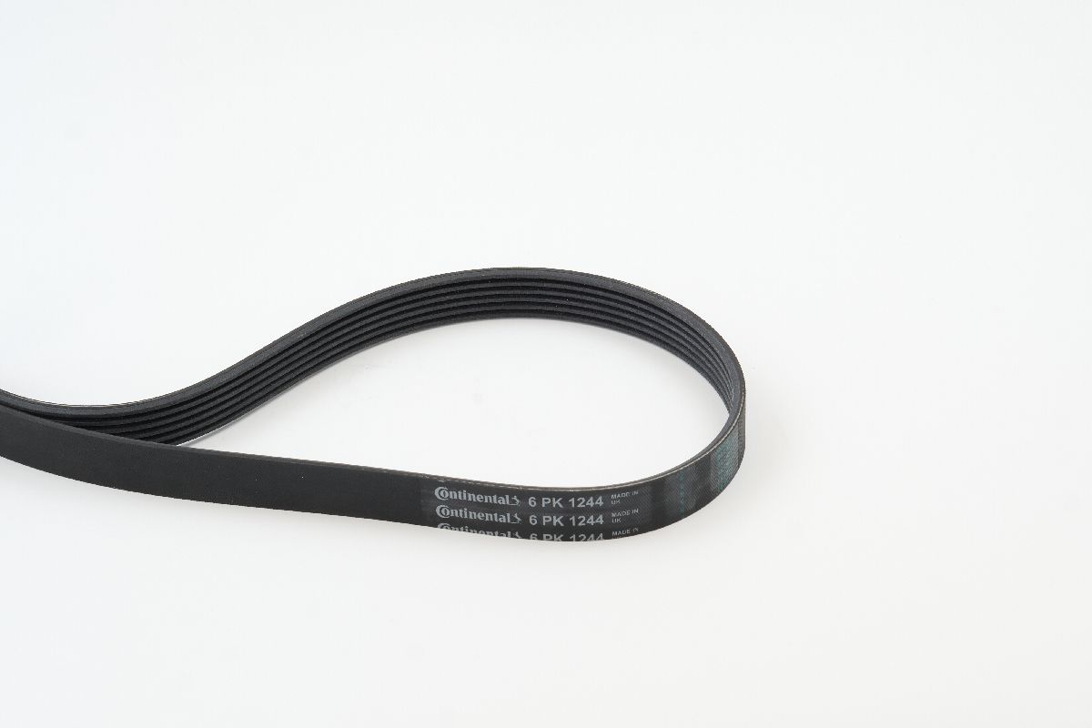 BELTPIC_6PK1244