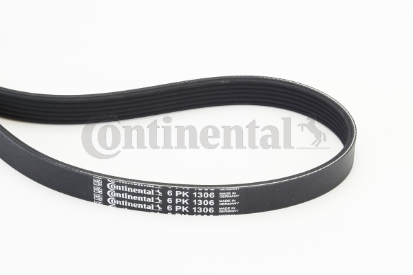 BELTPIC_6PK1306