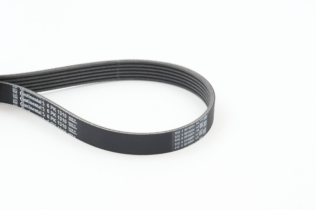 BELTPIC_6PK1310